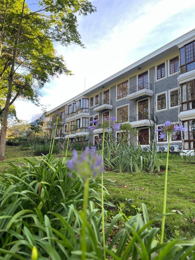 Aroso Paco Hotel Pedra Azul  Εξωτερικό φωτογραφία The Faculty of Law