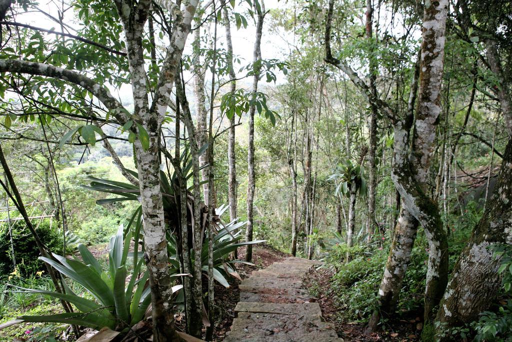 Aroso Paco Hotel Pedra Azul  Εξωτερικό φωτογραφία A trail in the park